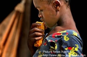 Africa\'s women last and least in food crisis