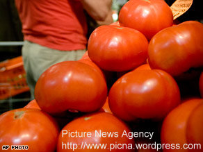  FDA lifts warning on tomatoes